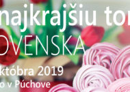 Najkrajšia torta Slovenska 2019